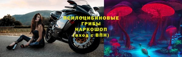 Альфа ПВП Арсеньев