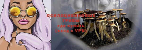 Альфа ПВП Арсеньев