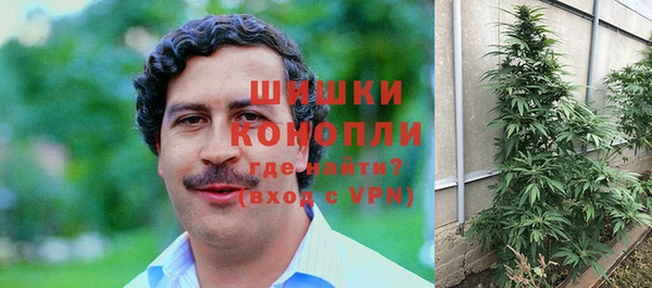 ешки Алзамай